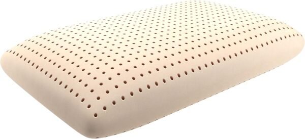 Memory Foam Silver  Pillow, 1 Count (Pack of 1), White