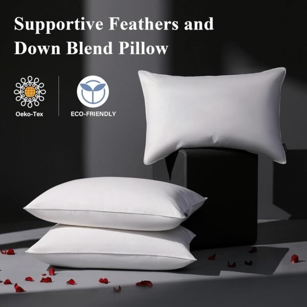 Luxury Goose Feather Down Pillow Standard Size Set of 2 Pack, 100% Cotton Hotel Collection Bed Pillows for Sleeping, Soft Support Fluffy Medium Firm Pillows for Side Back Stomach Sleepers 20" x 26"