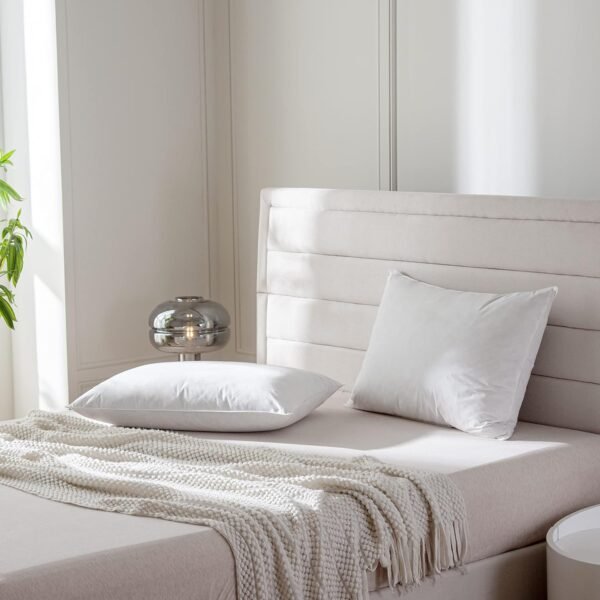 Luxury Feathers Down Pillows Queen Size Set of 2, Hotel Quality Fluffy Bed Pillows, Soft Pillows for Sleeping, Organic Cotton Cover(20x28”, Pack of 2)