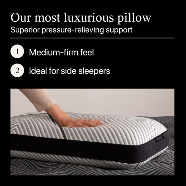 Black Luxury Pillow, Queen (U.S. Standard), Gray